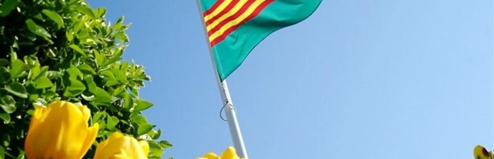 Vlag Julianadorp