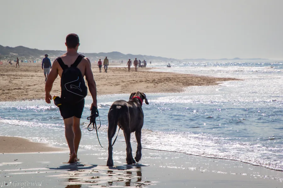 Urlaub mit Ihrem Hund